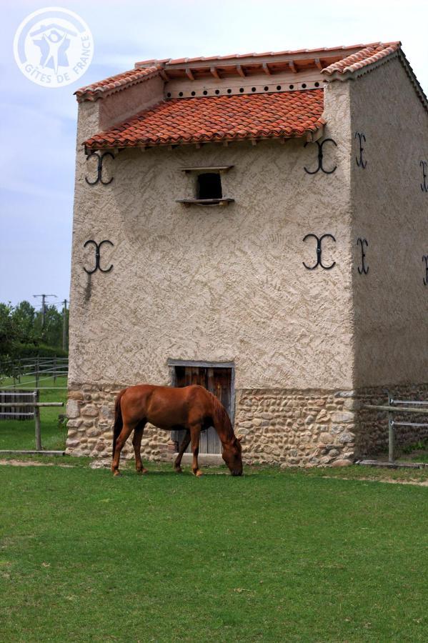 Chambres D'Hotes Ondine Et Igor Saint-Marcellin-en-Forez Esterno foto